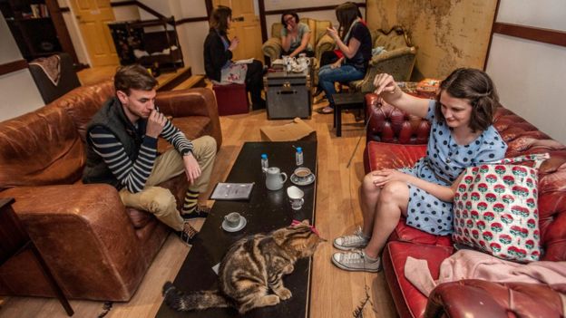 The Cat Café - A Perfect Forever Home or Hellish Nightmare? The Cat Café - A Perfect Forever Home or Hellish Nightmare?