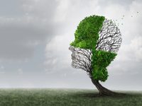 Senile dementia – An Outdated Term