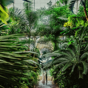 Botanical Beauty: The DC Visits Kew Gardens!